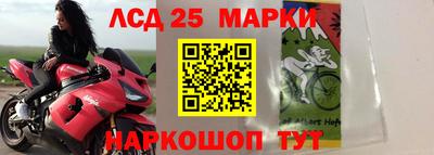 гидропоника Кунгур