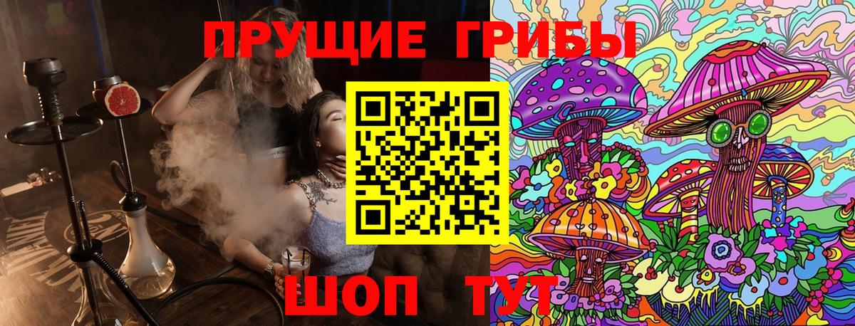 Галлюциногенные грибы прущие грибы  Вход с VPN  Железногорск 